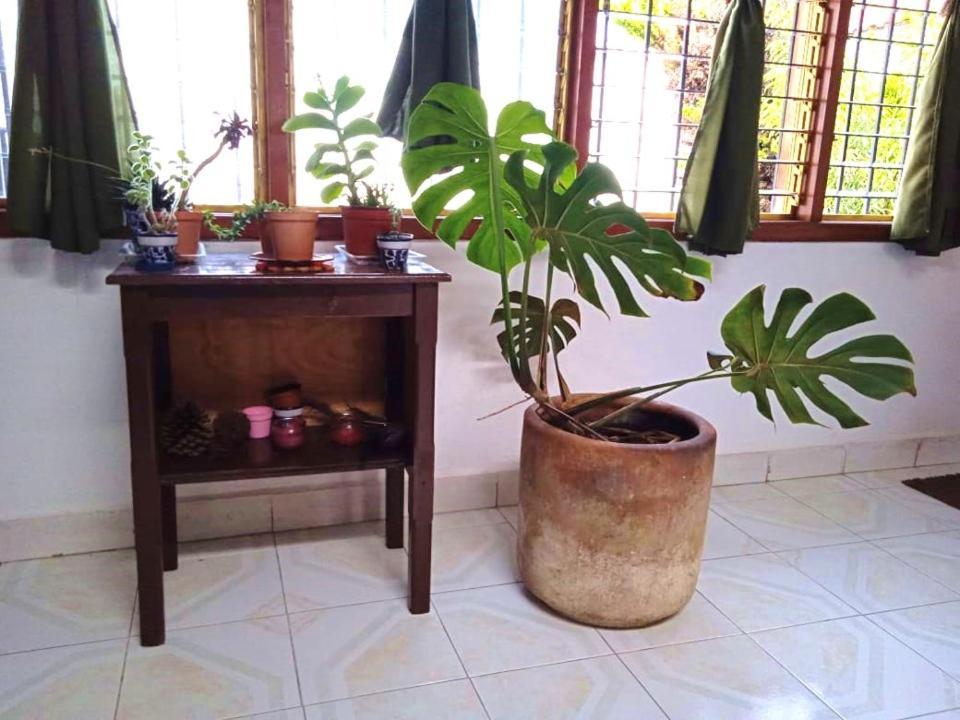 Casa Natura San Cristóbal de Las Casas Exterior foto